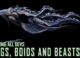 Calling All Devs – 24/04 – Insectes, animaux et autres bestioles