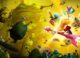 Rayman Legends