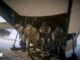 Call of Duty Warzone